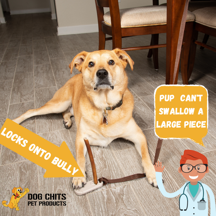 Bully Stick Companion - Bully Stick Holder VERSION 2