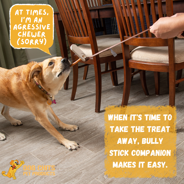 Bully Stick Companion - Bully Stick Holder VERSION 2