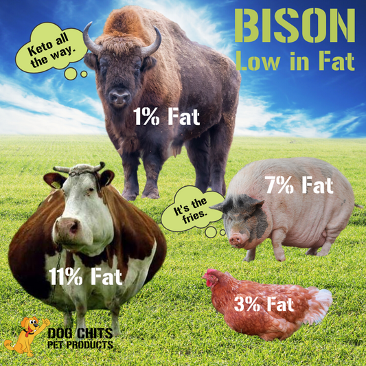 Bison Lung Fillets dog chits