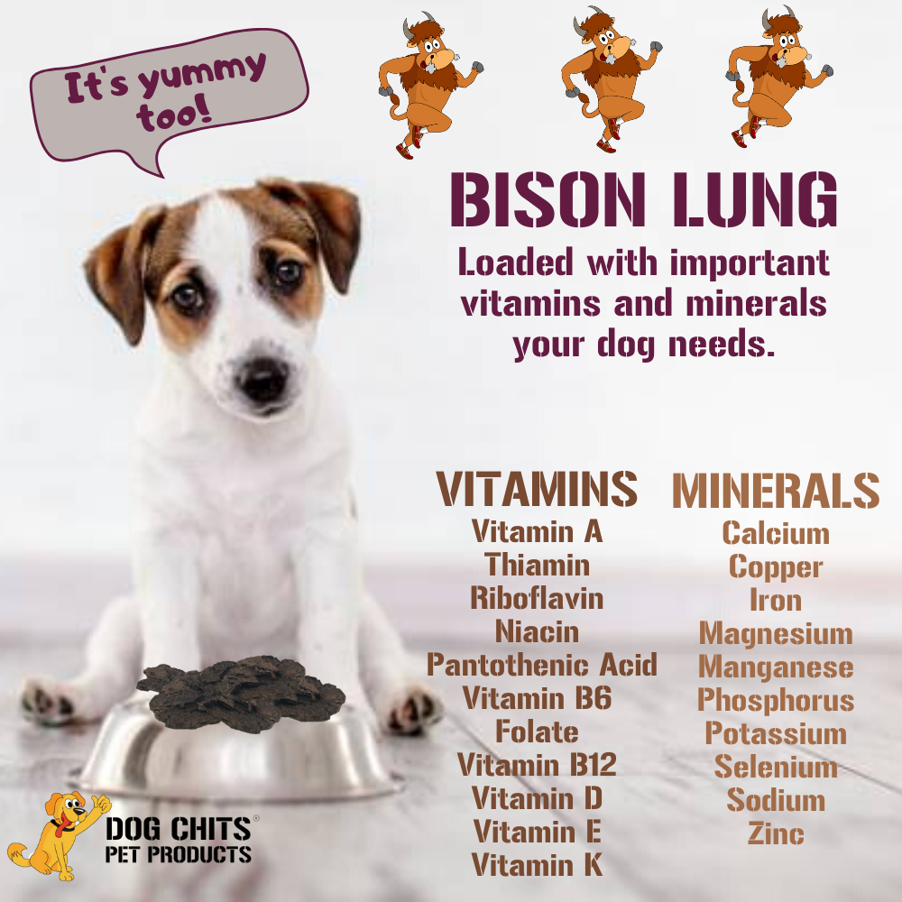 Dog Chits Bison Lung Fillets for Dogs