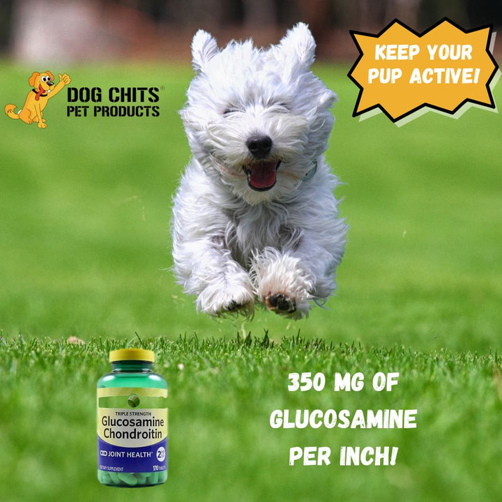 Bison Trachea Dog Treats, 2-3 Inch Pieces, 8 oz.
