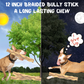 Braided Bully Sticks, 12 Inch, 3 Pack