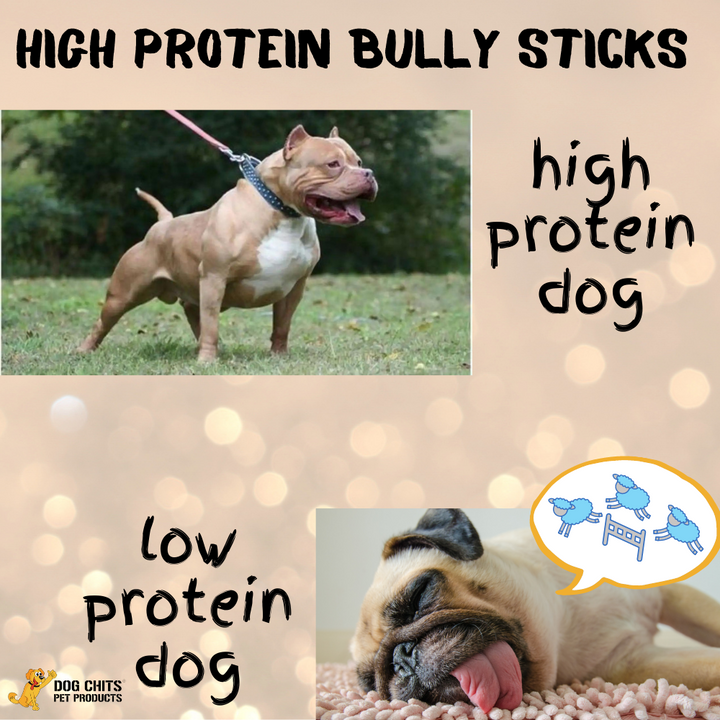 Braided Bully Sticks, 12 Inch, 3 Pack