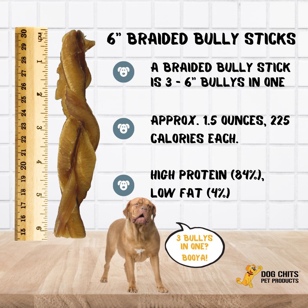 Braided Bully Sticks, 6 Inch, 6 Pack