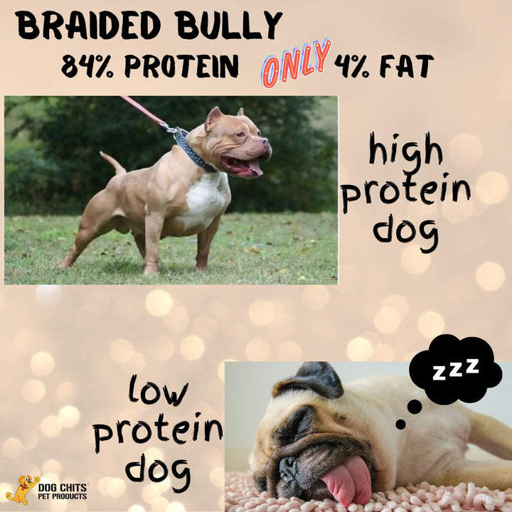 Braided Bully Sticks, 6 Inch, 6 Pack