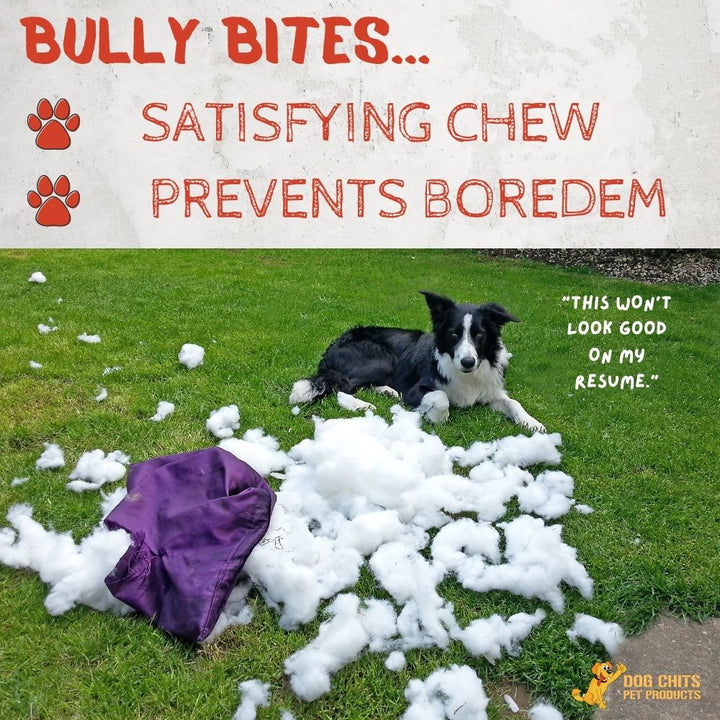 Bully Bites, 1 Pound
