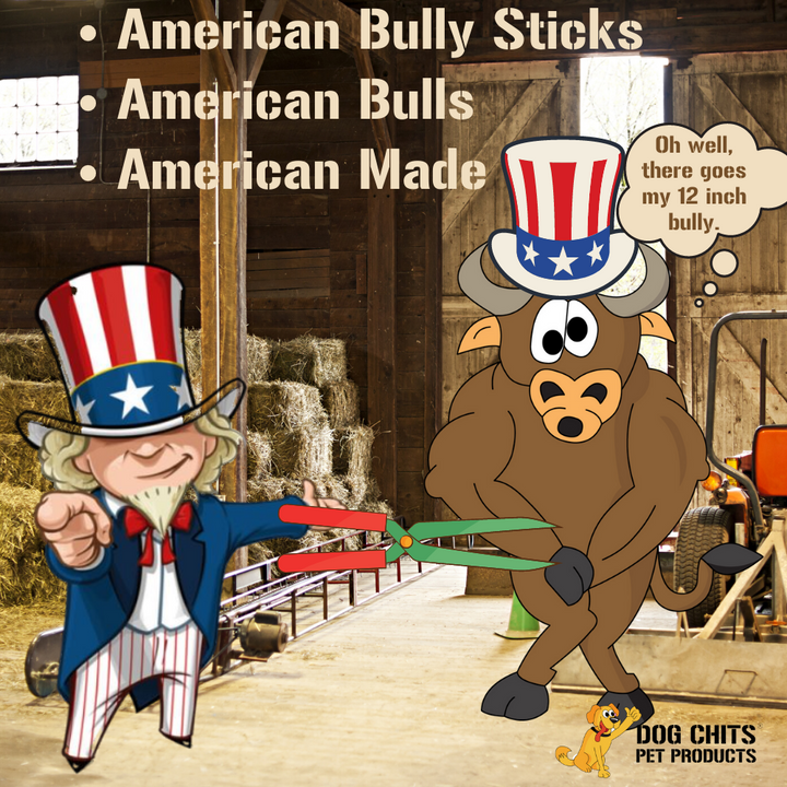 Bully Sticks - 12 Inch, 6 Pack