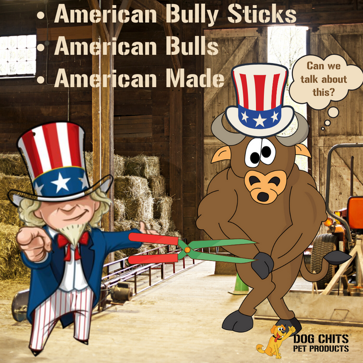 Bully Sticks - 6 Inch, 20 Count