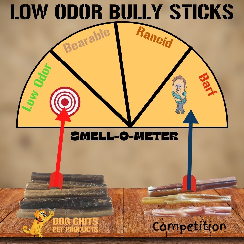 Bully Stick Canes - 32 Inch, 1 Pack