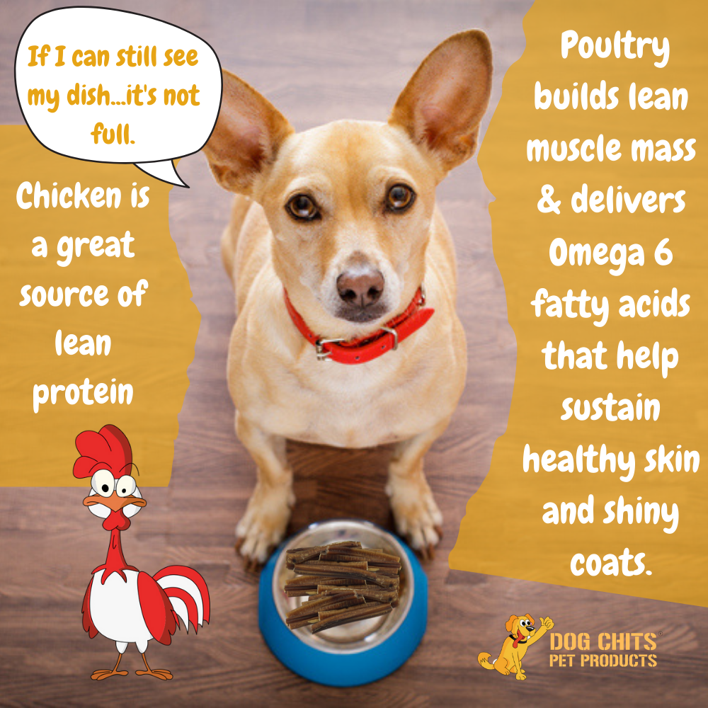 Organic Chicken Jerky Soft Chews for Dogs - 4 oz.