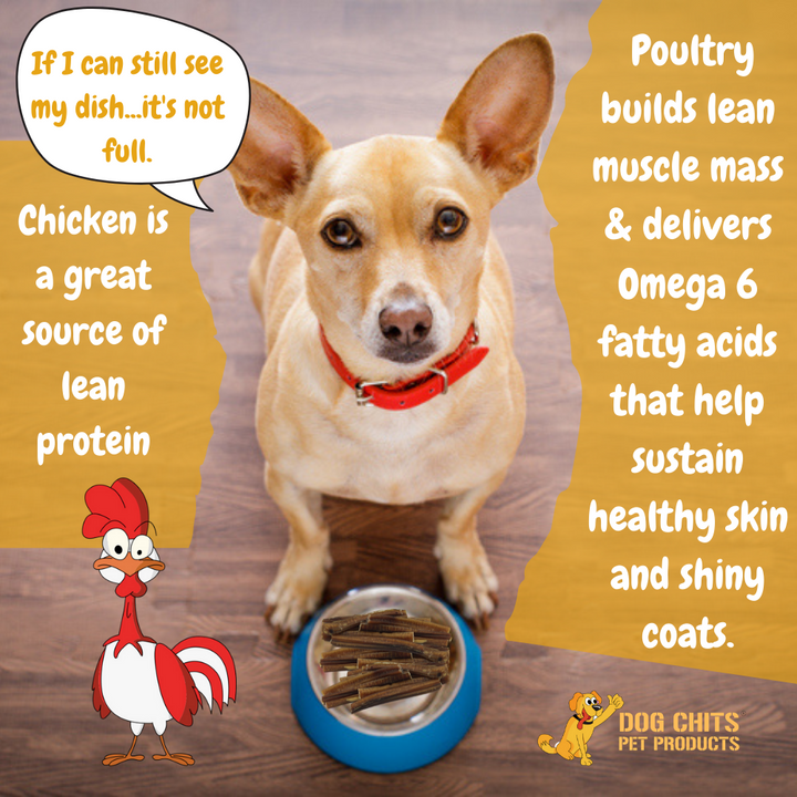 Organic Chicken Jerky Soft Chews for Dogs - 4 oz.