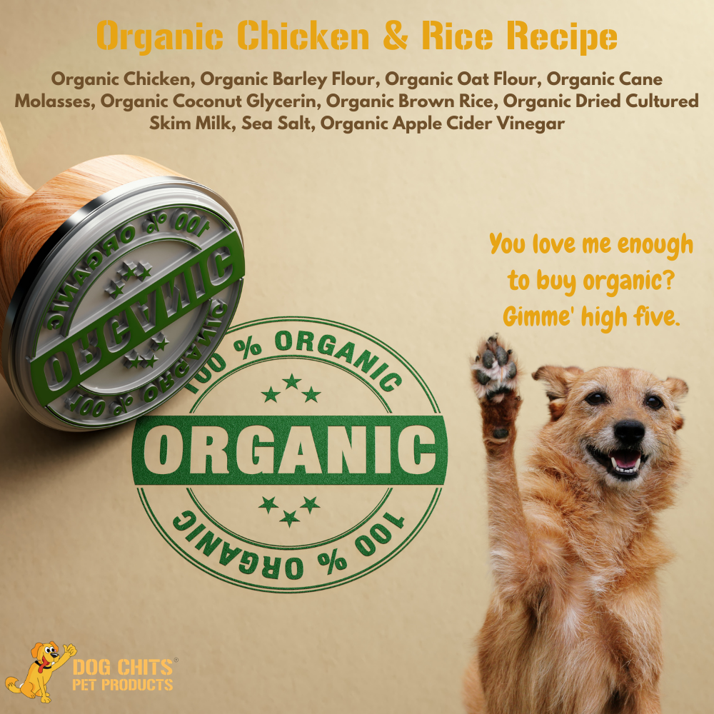 Organic Chicken and Brown Rice Soft Chews for Dogs - 4 oz