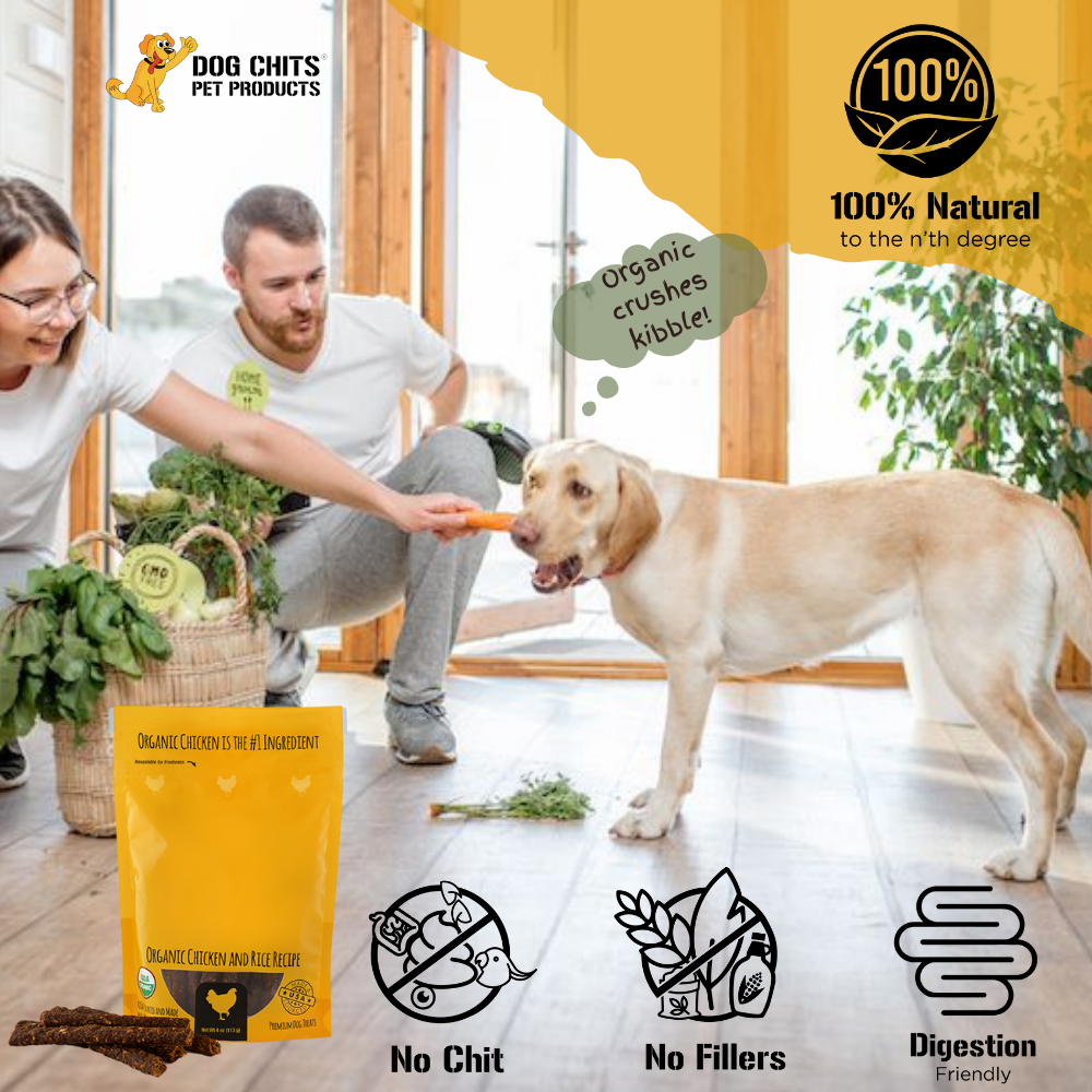 Organic Chicken Jerky Soft Chews for Dogs - 4 oz.