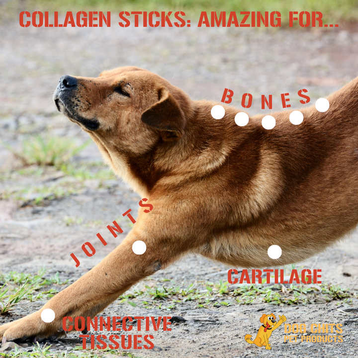 Collagen Sticks, 6 Inch, 20 Pack