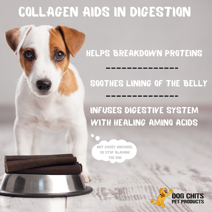 Collagen Sticks, 6 Inch, 20 Pack