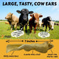 Cow Ears for Dogs, Large, 10 Pack