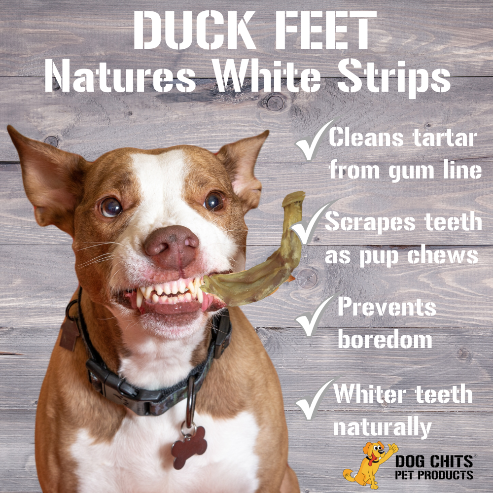 Duck Feet Dog Treats for Dogs - 18 pack