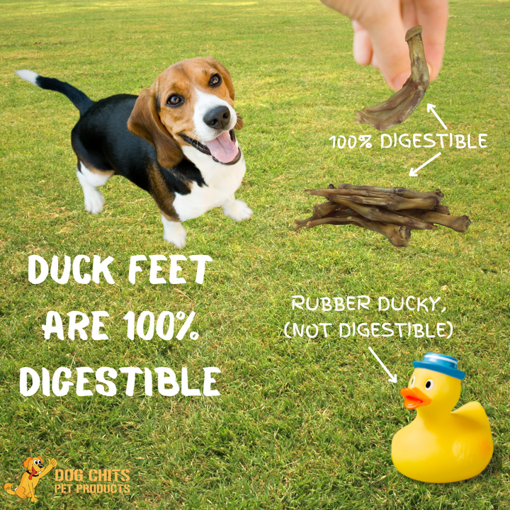 Duck Feet Dog Treats for Dogs - 28 pack (NO NAILS)
