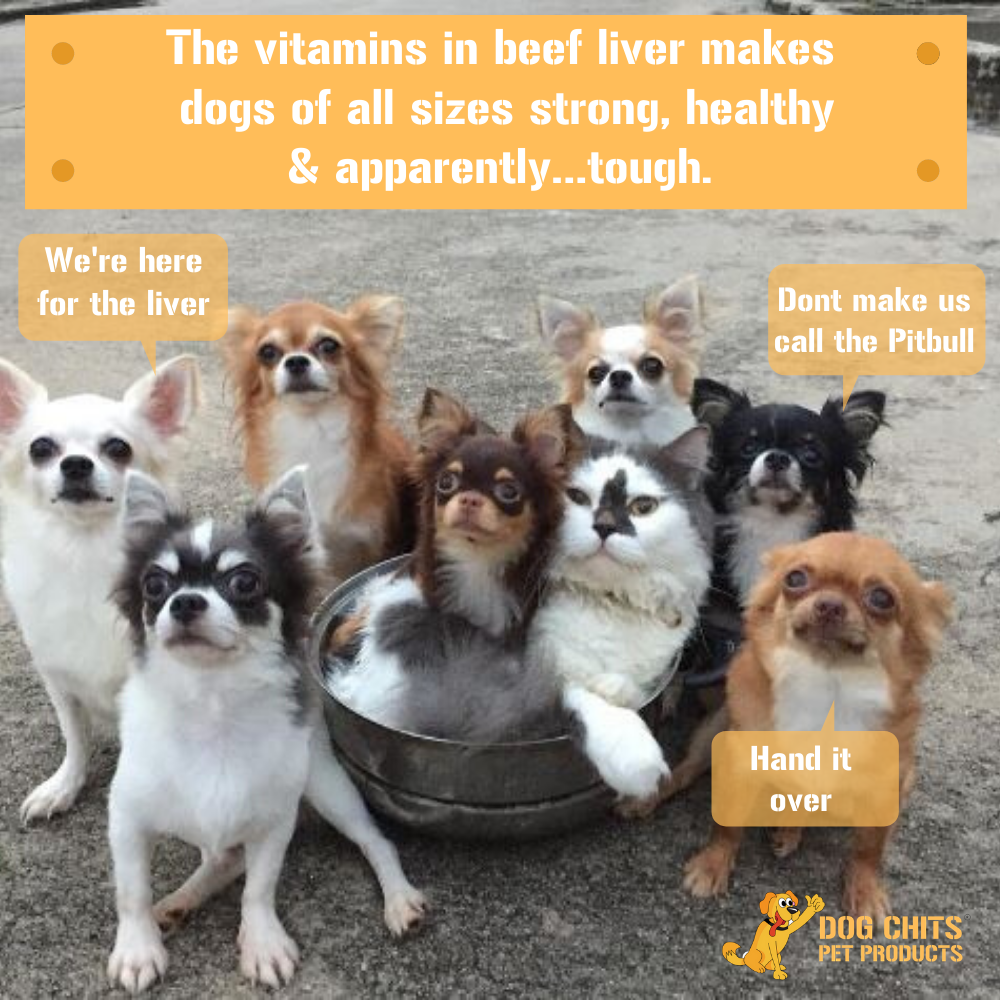 Dogs Can’t Resist beef Liver
