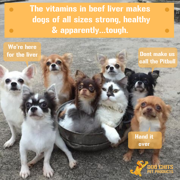 Dogs Can’t Resist beef Liver