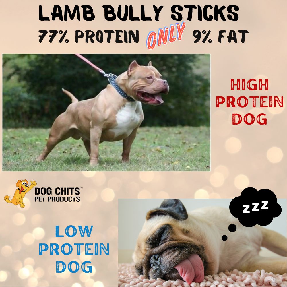 Lamb Pizzle, 8 oz. (Lamb Bully Sticks)
