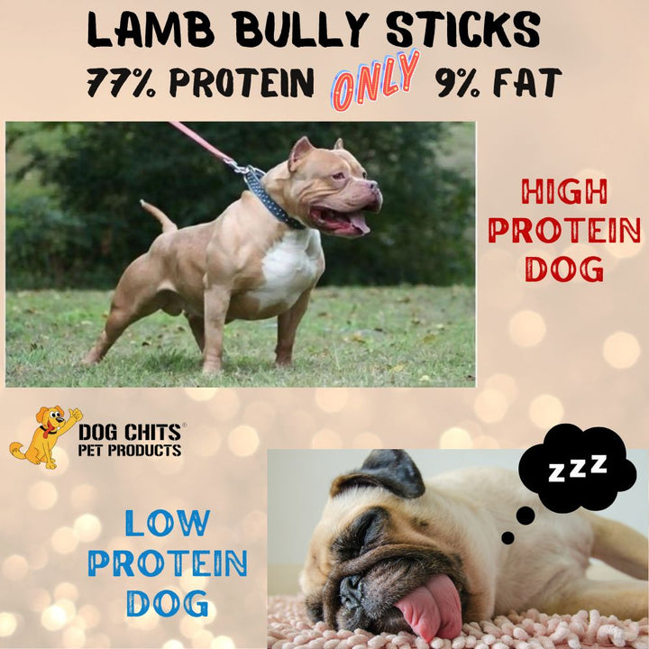 Lamb Pizzle, 8 oz. (Lamb Bully Sticks)