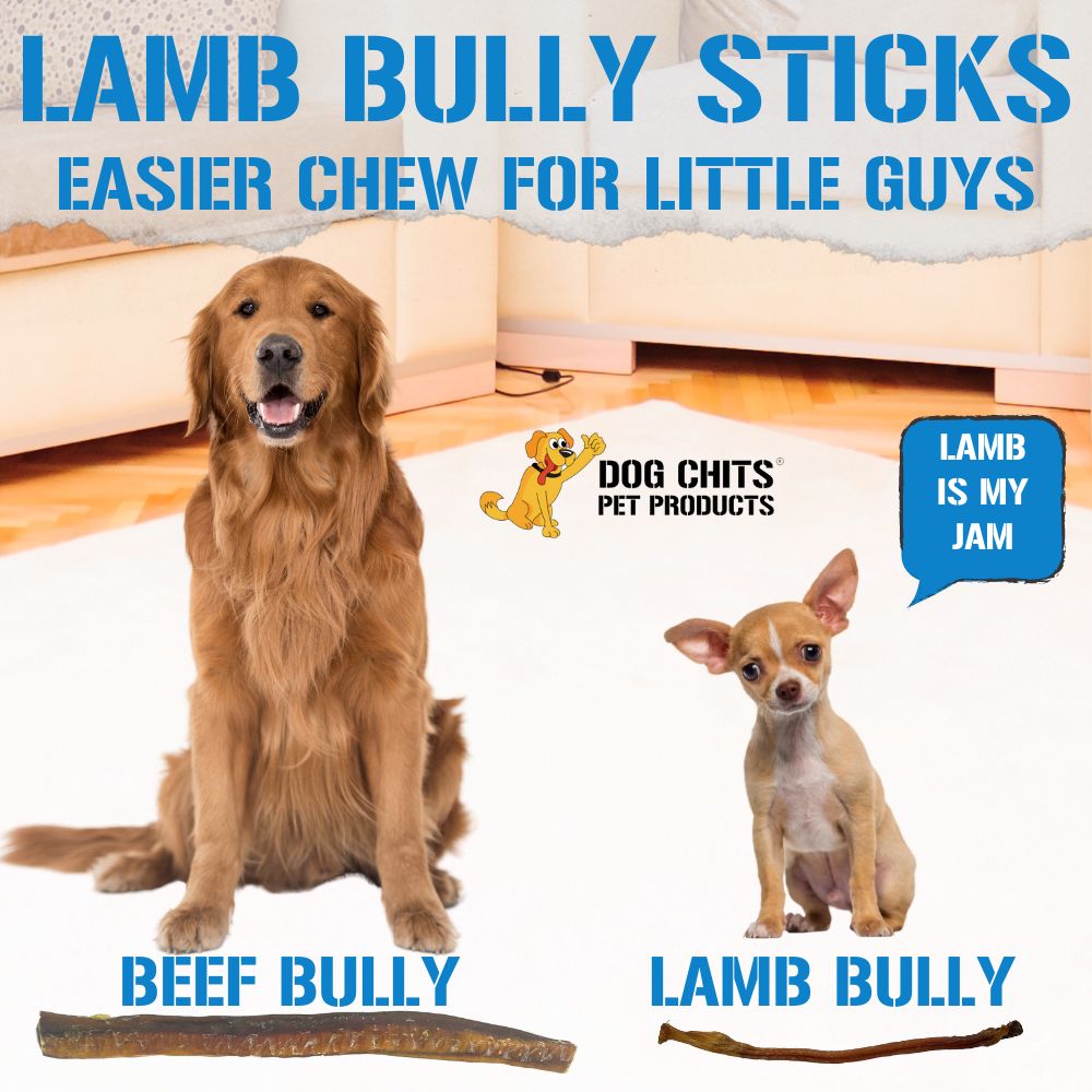 Lamb Pizzle, 8 oz. (Lamb Bully Sticks)