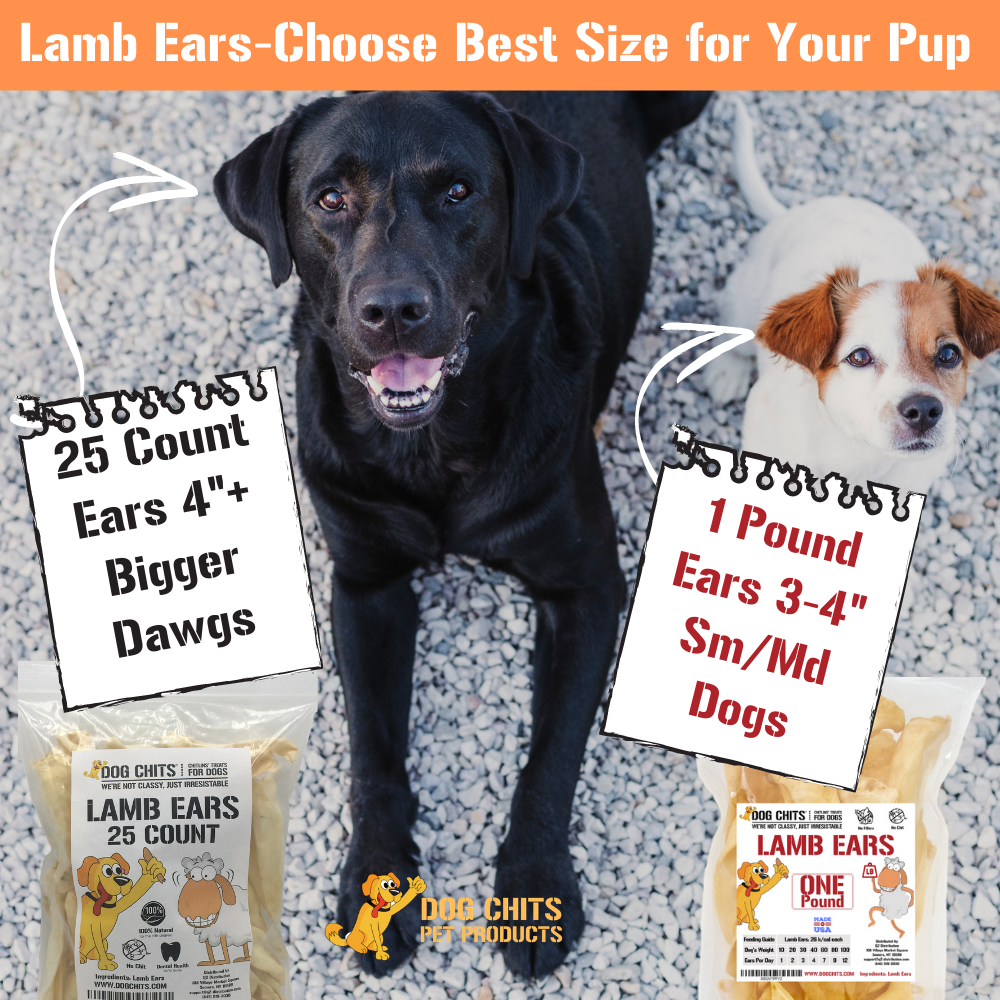 Lamb Ears for Dogs, Large - 25 Pack