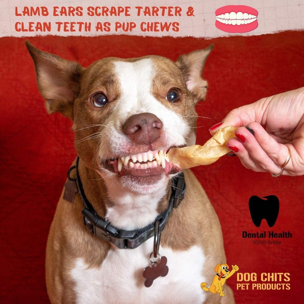 Lamb Ears Chips, 1 Pound