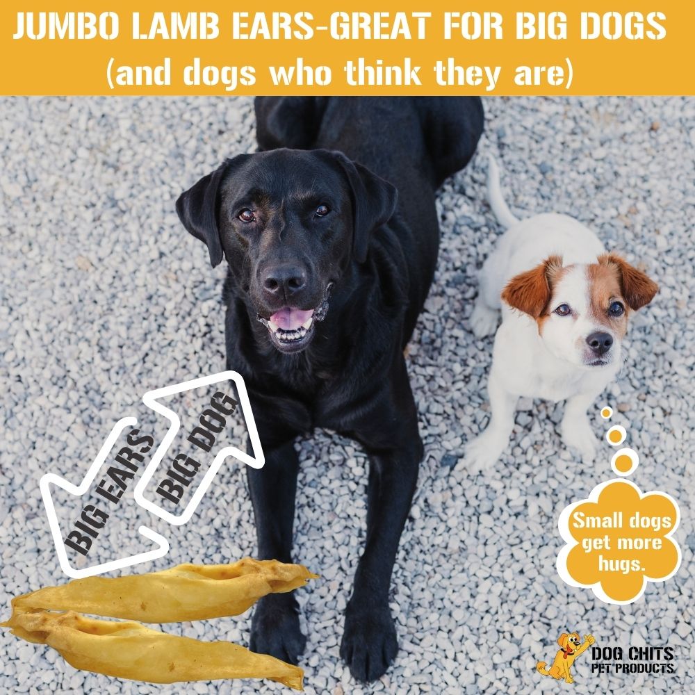 Lamb Ears for Dogs, JUMBO, 10 Pack