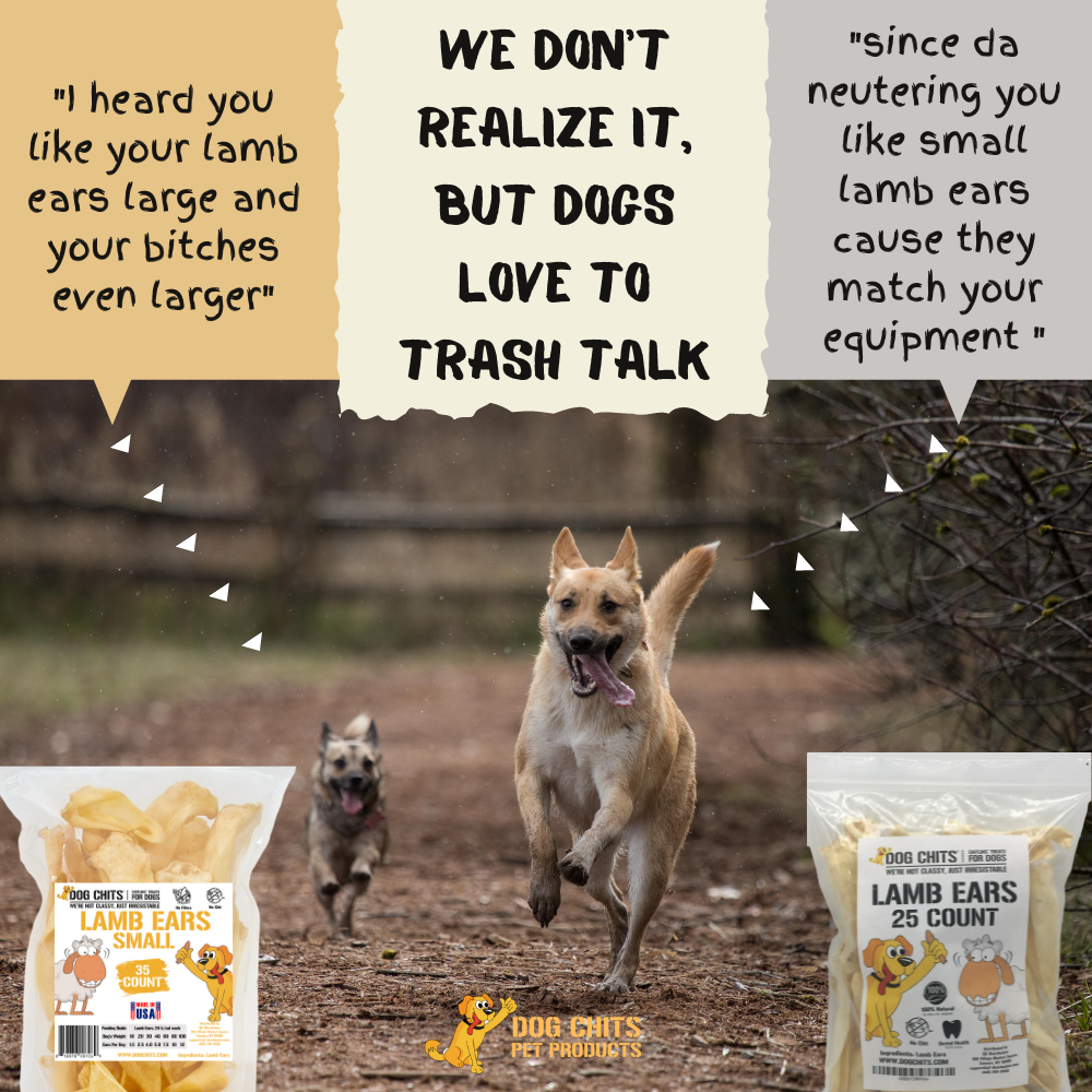 Lamb Ears for Dogs, Small - 35 Pack