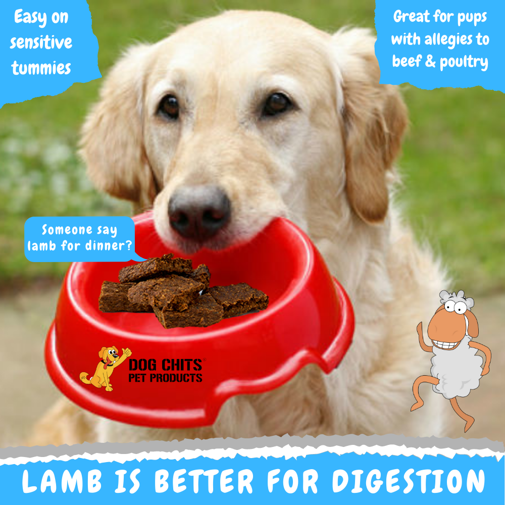 Lamb and Flaxseed Premium Dog Treats - 4 oz