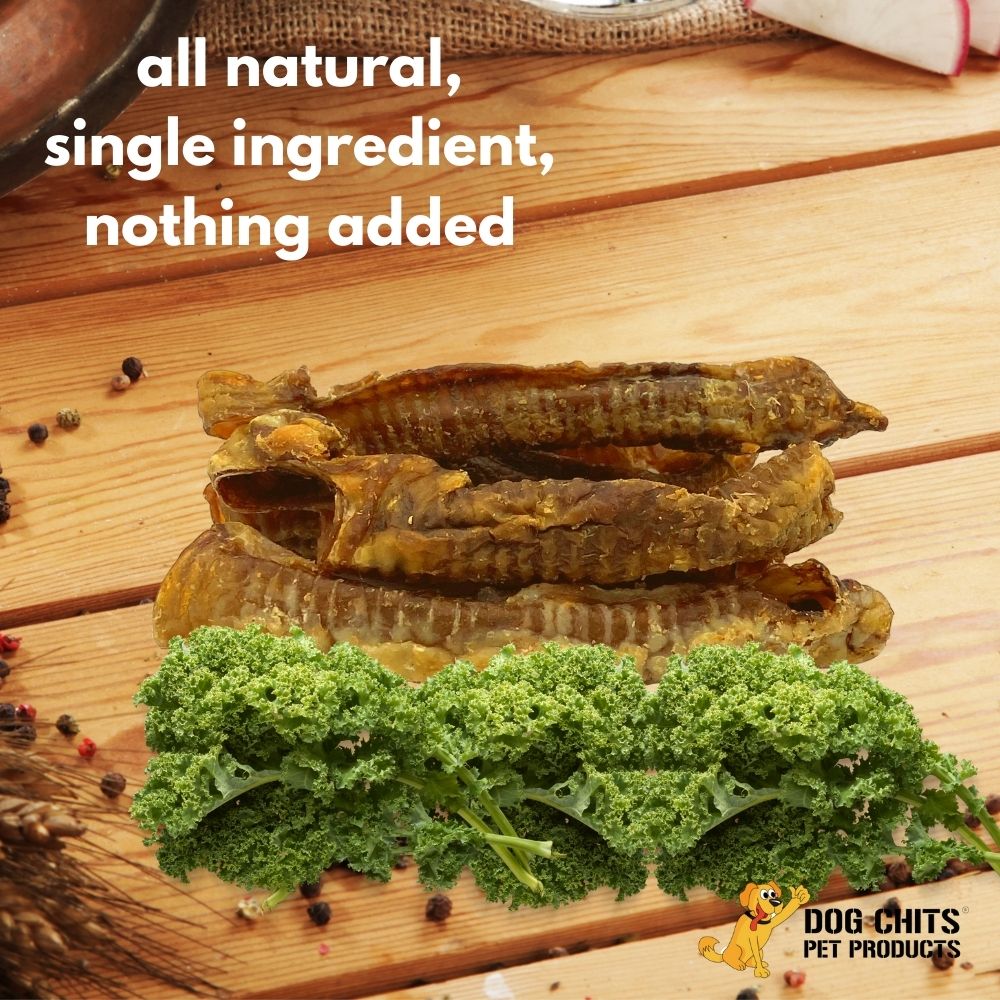 Lamb Trachea, 8 oz.