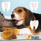 Pig Ears, Medium, 15 Pack