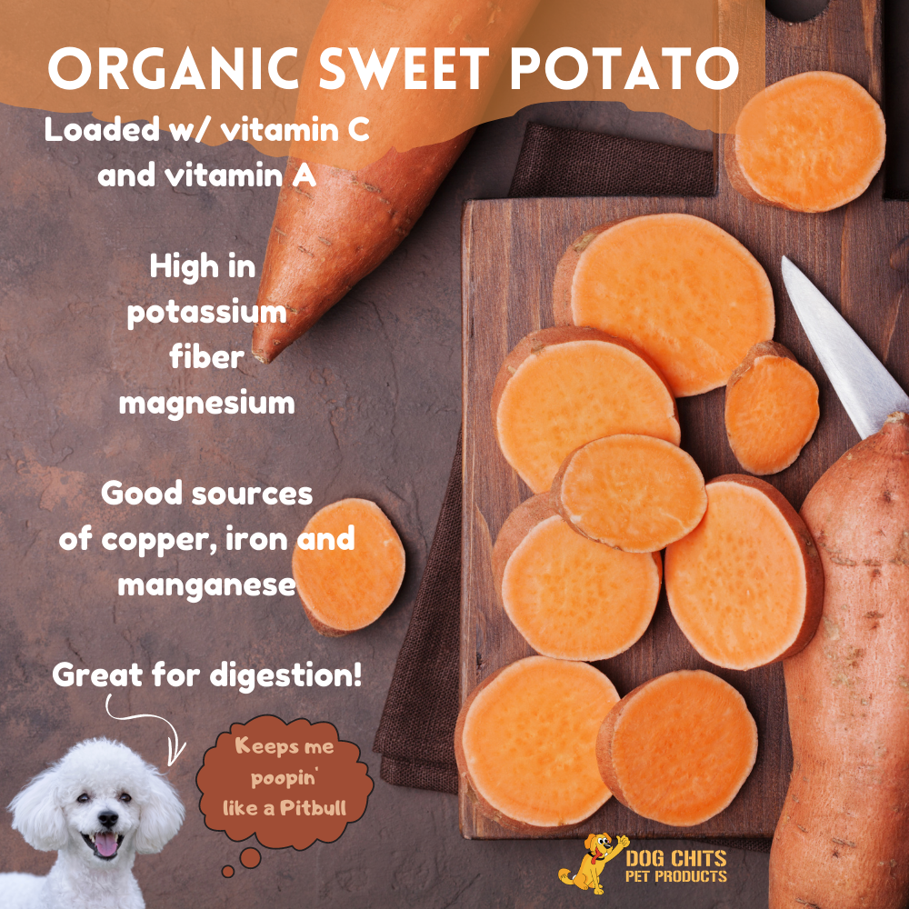  Sweet Potato for Dogs