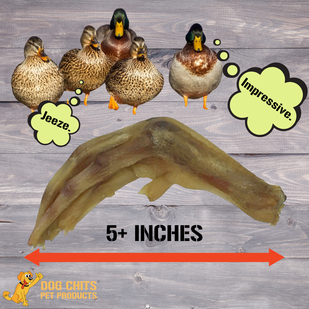 Duck Feet Dog Treats for Dogs - 28 pack (NO NAILS)