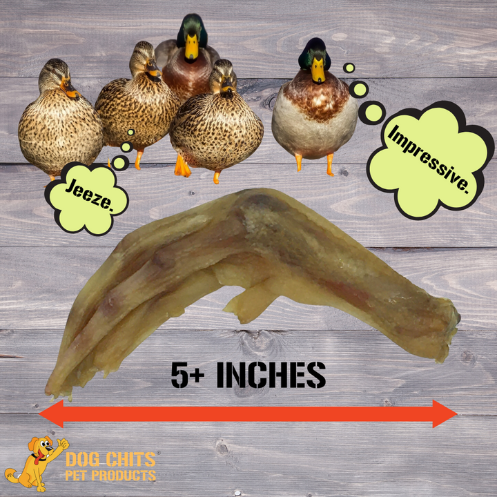 Duck Feet Dog Treats for Dogs - 28 pack (NO NAILS)