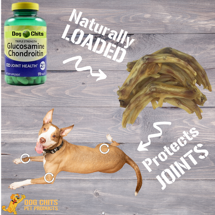 Duck Feet Dog Treats for Dogs - 28 pack (NO NAILS)
