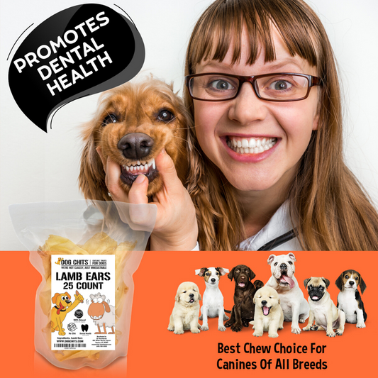 Lamb Ears for Dogs, Large - 15 Pack