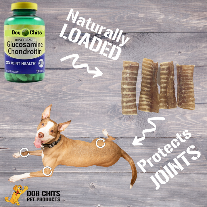 Trachea for Dogs