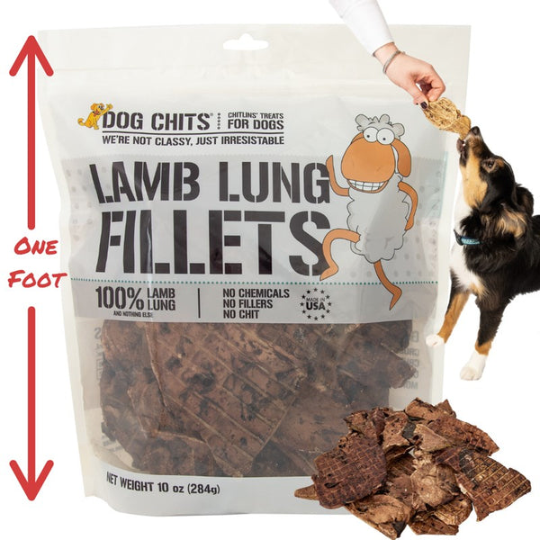 is lamb heart good for dogs